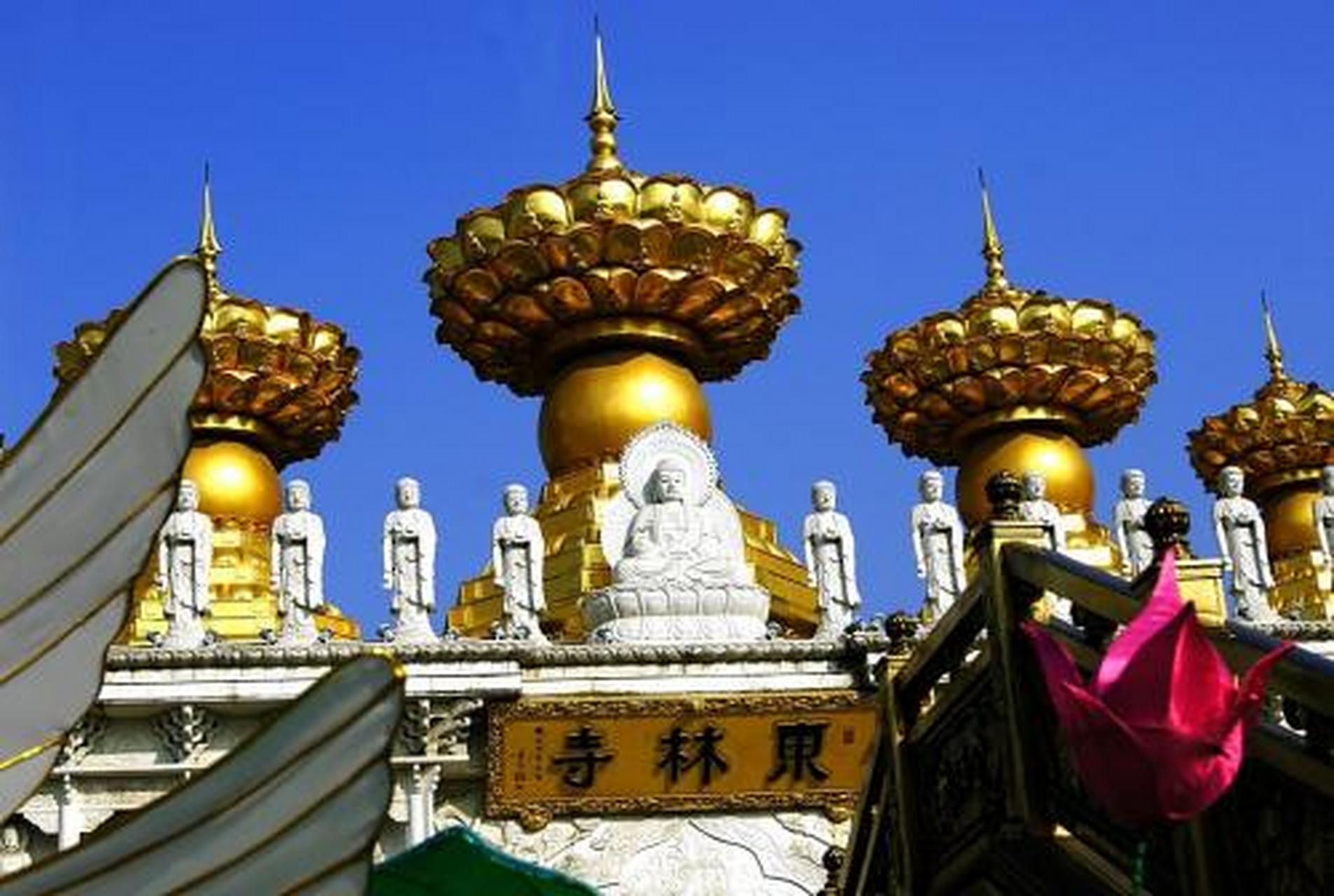 夏日出游季#东林寺坐落于上海市金山区朱泾镇东林街150号,原名观音堂