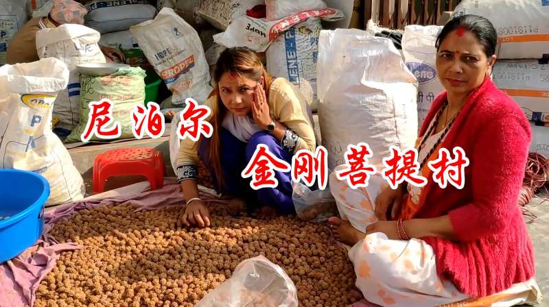 探访尼泊尔金刚菩提村国人趋之若鹜的地方很多人赚了大钱