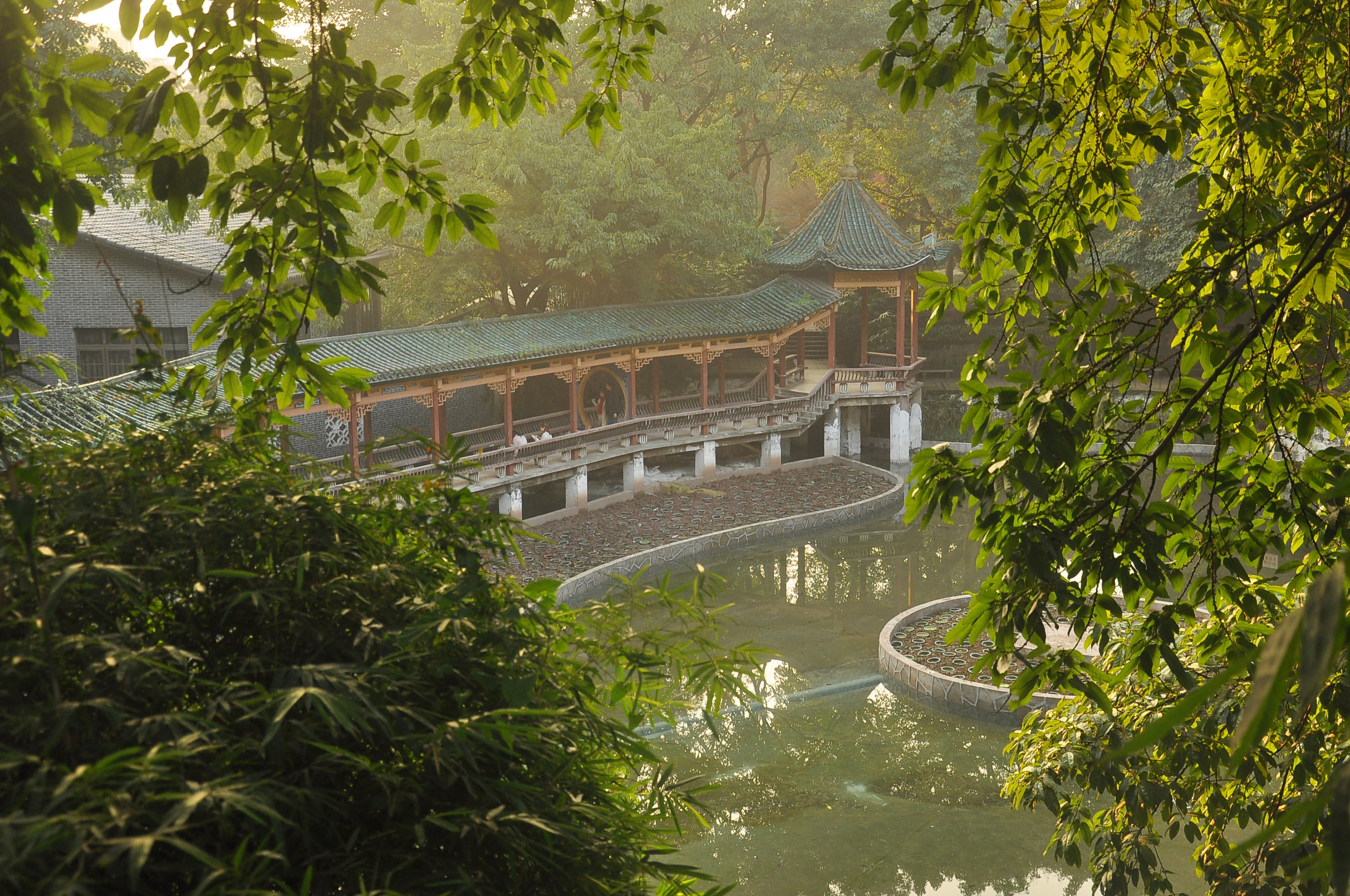 重庆鹅岭公园,悬崖上藏着一间石室,参观后让人肃然起敬