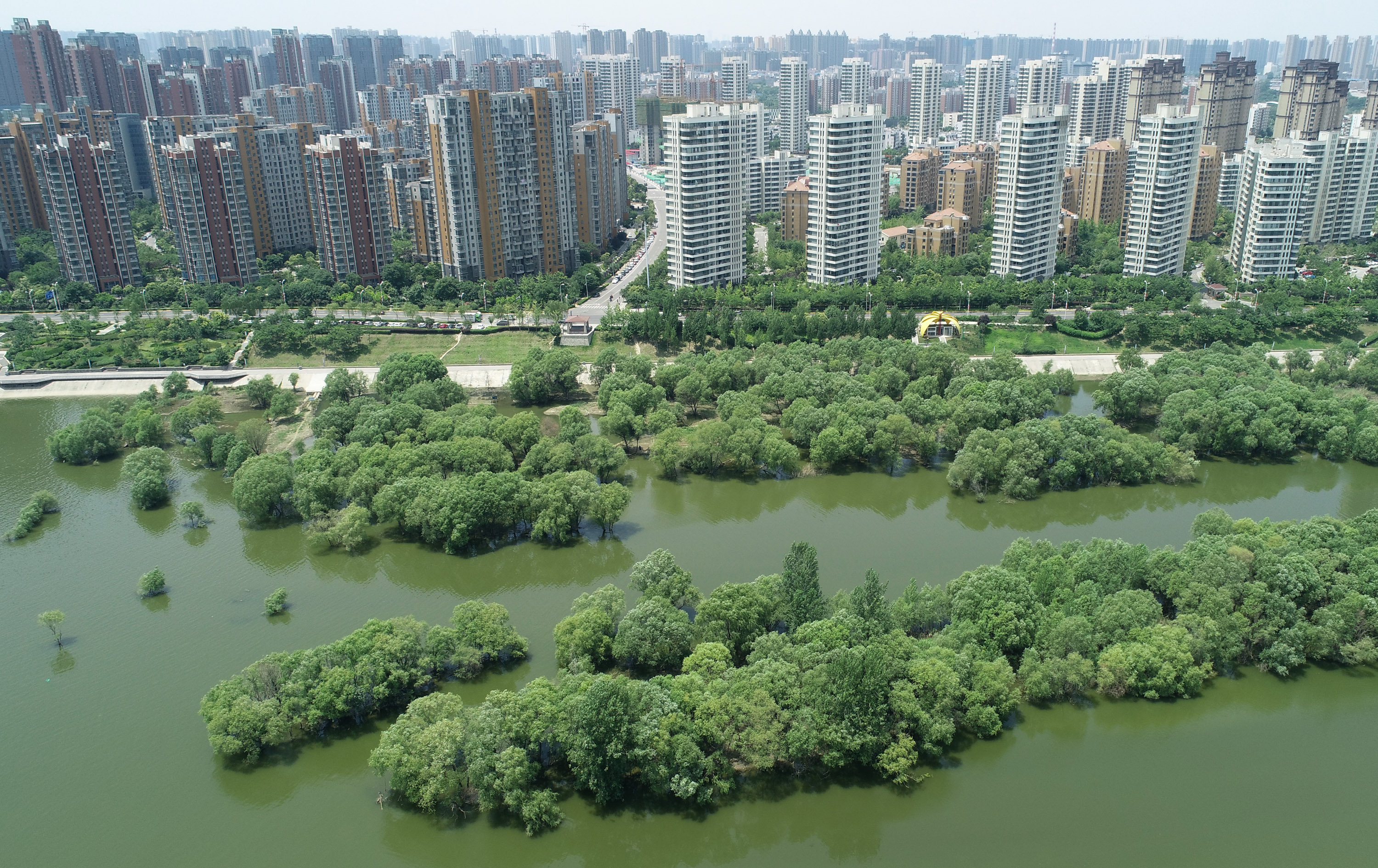 西安浐灞:生态建设打造"城市绿肺"(2)