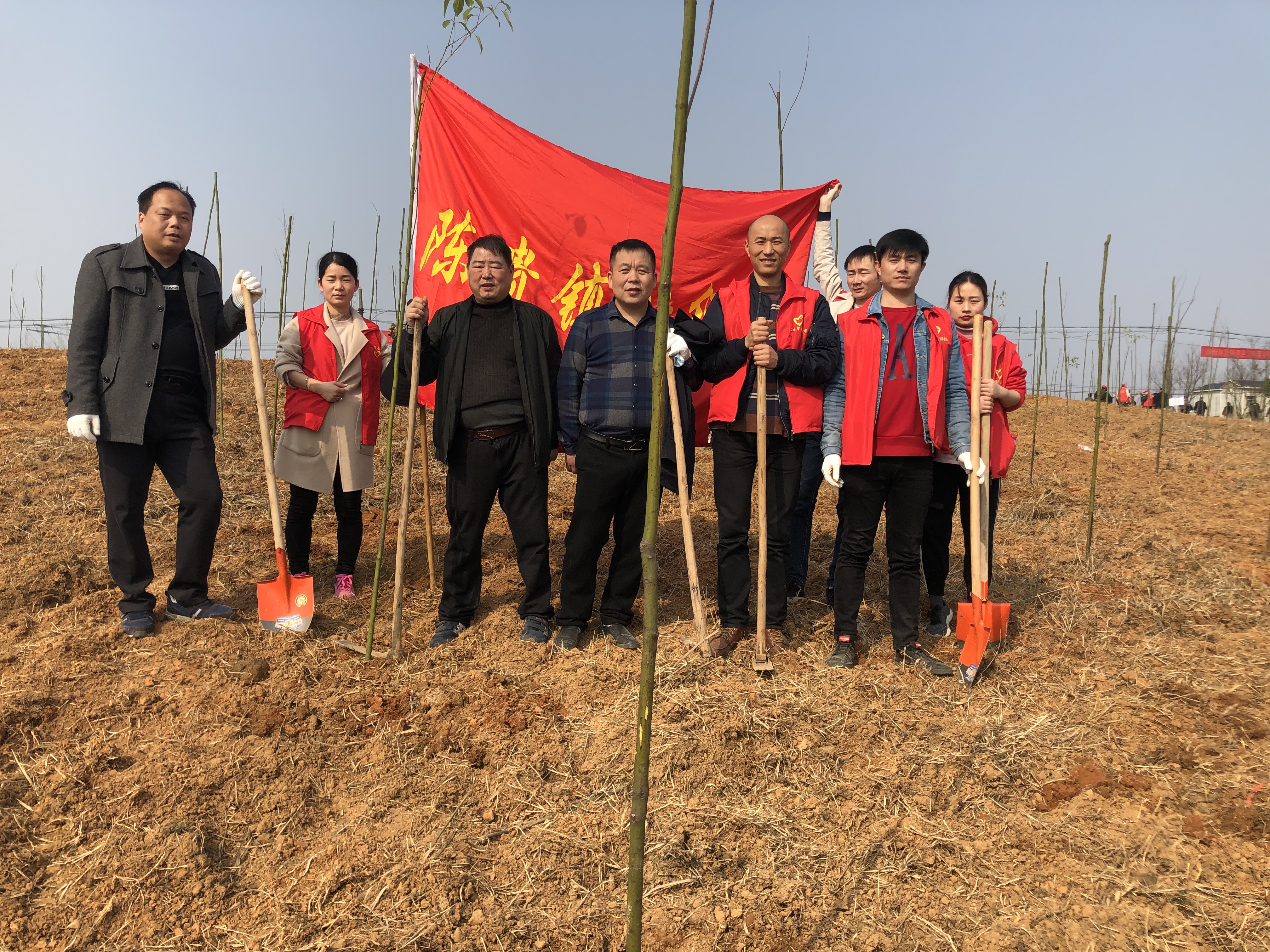 大冶陈贵镇财经所开展义务植树活动