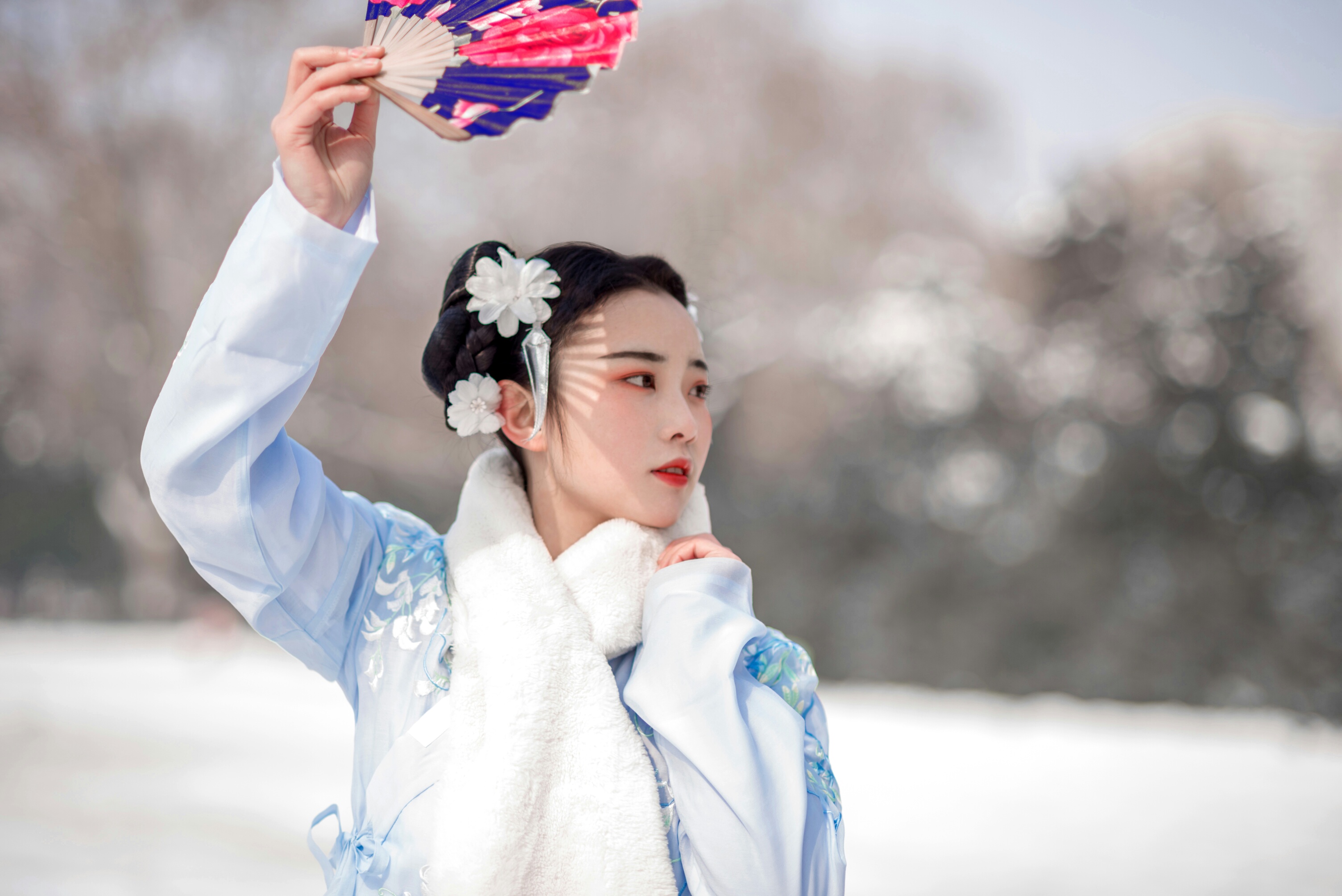 古风雪景:玉带林中挂,金钗雪里埋