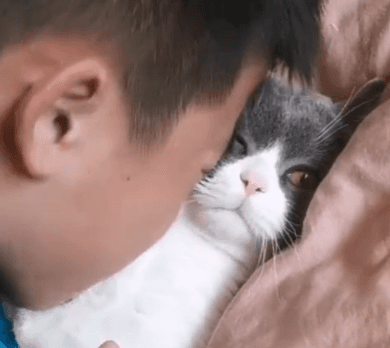 老说吸猫吸猫的,到底是什么吸猫?学生弟弟:我来示范给你看