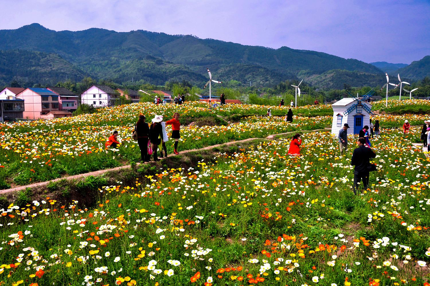 重庆景点:垫江县乐天花谷