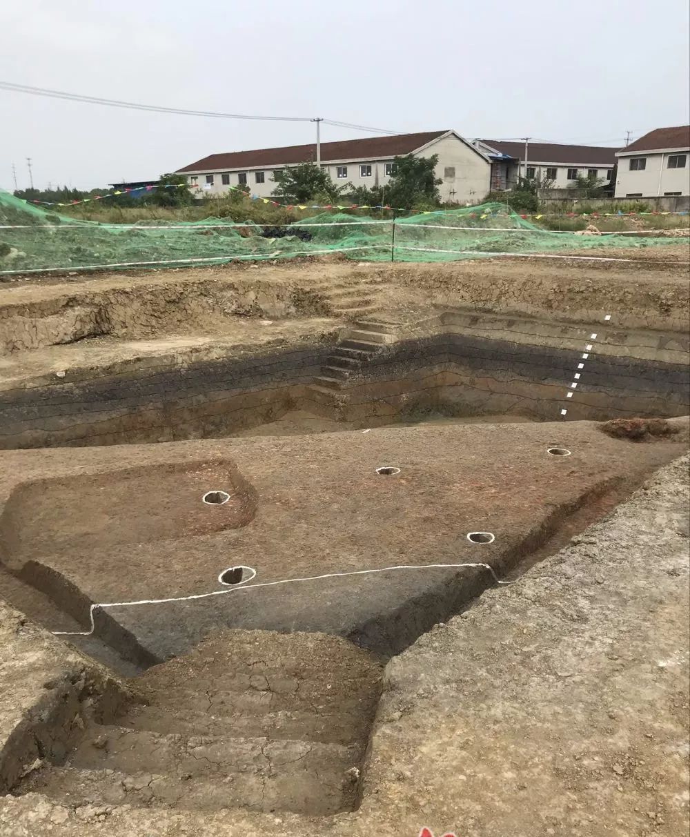 "龙城"常州首次发布青城墩遗址考古成果,"江南第一龙"出土!