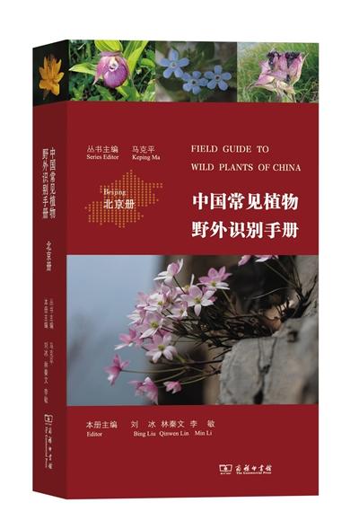 中国植物野外手册图片