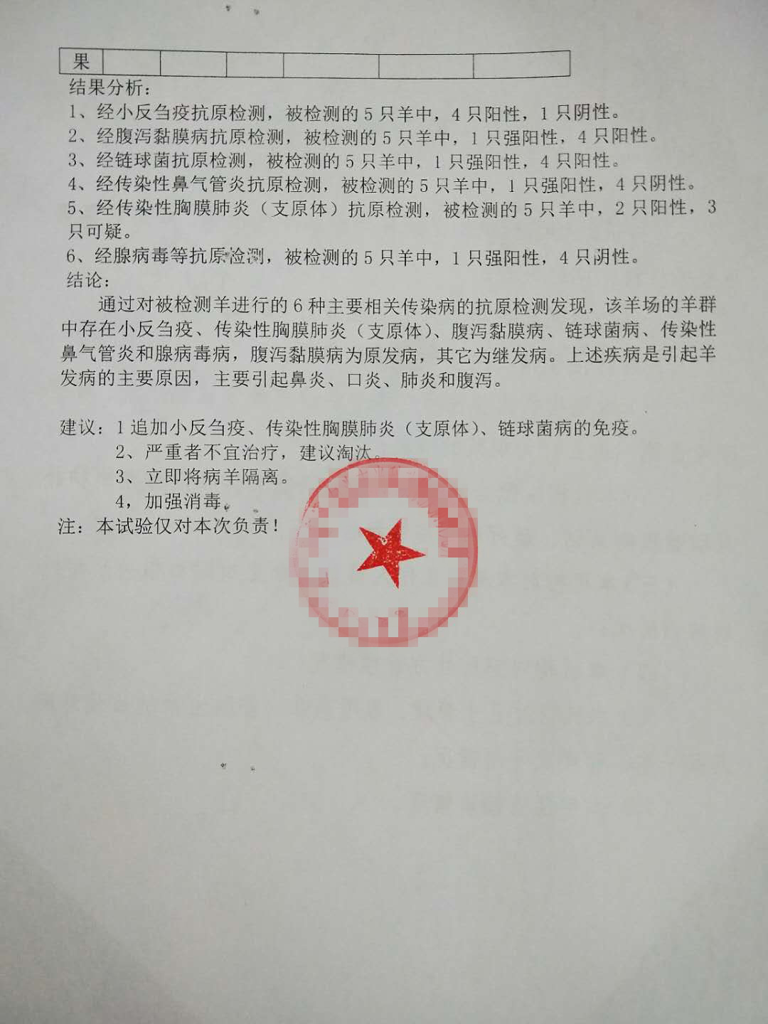 项目验收报告