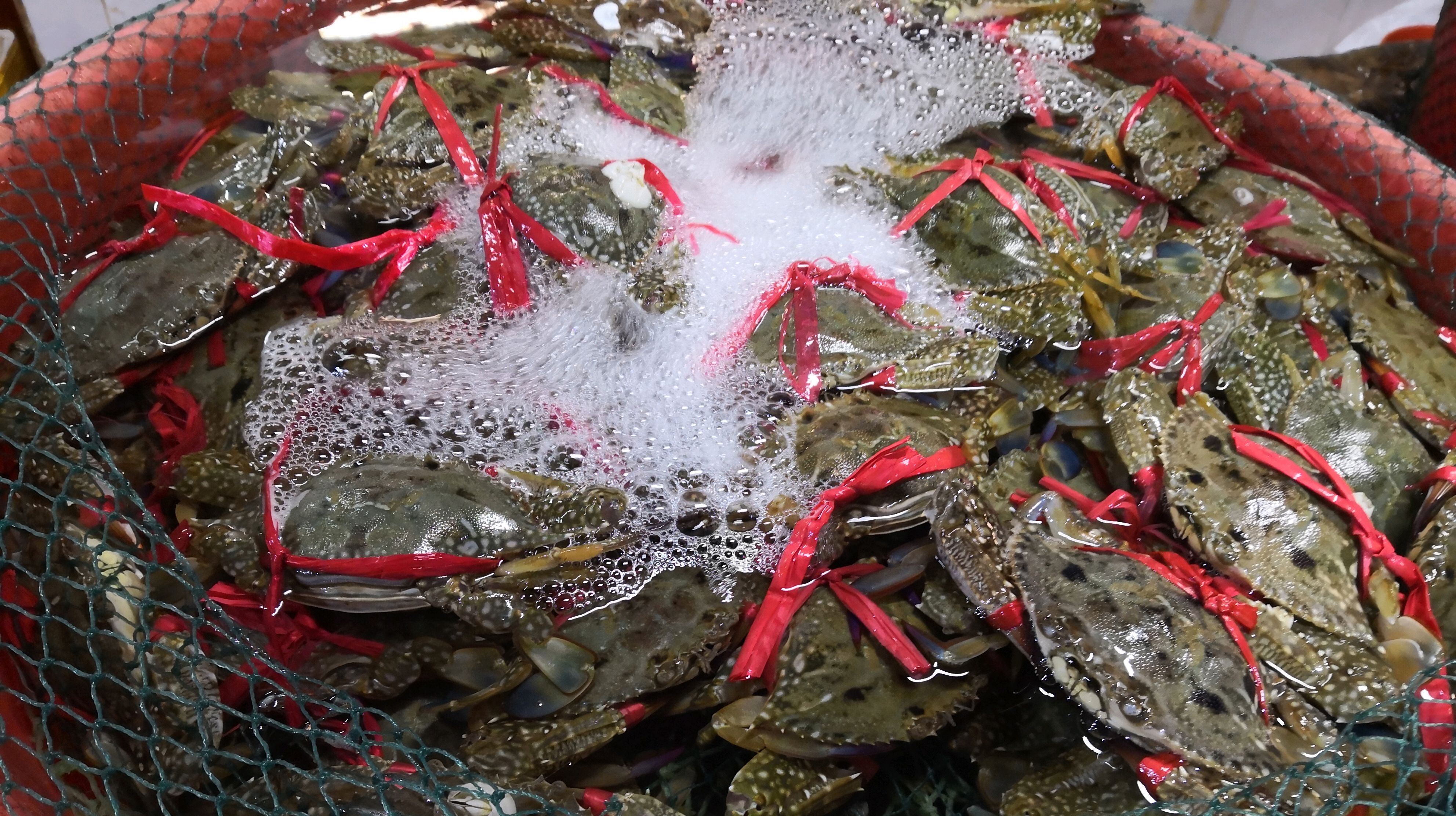 海鲜世界,什么鱼都有