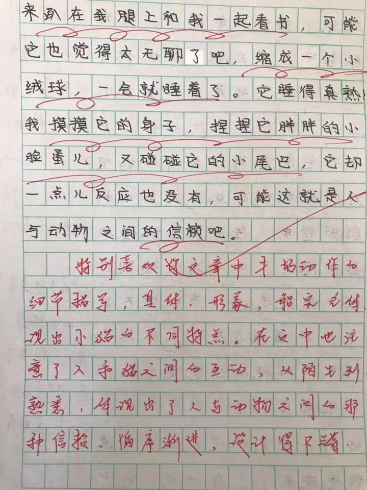 作文评语每次10000字!杭州一小学老师坚持26年,她都写了点啥?