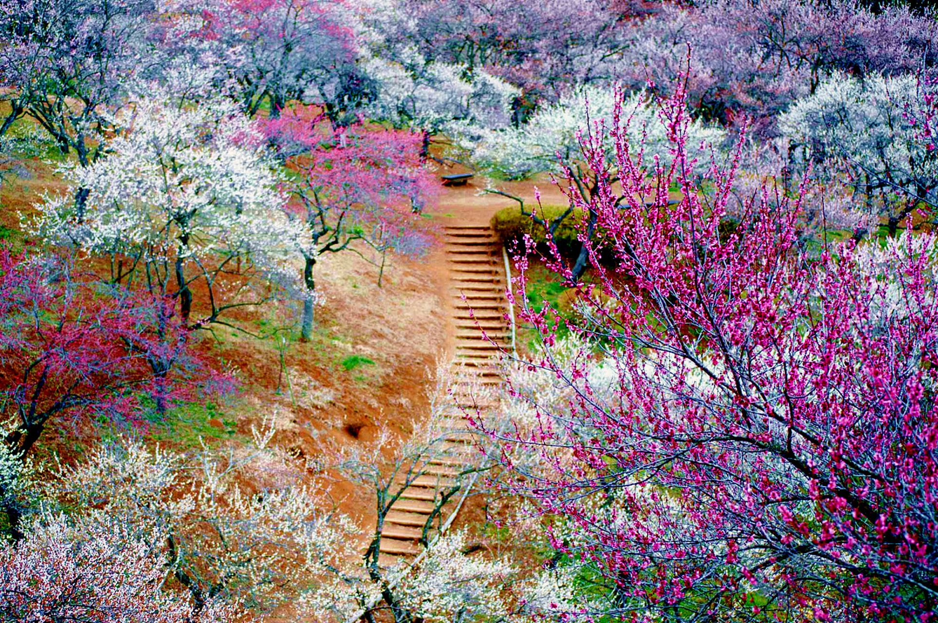 泰山桃花源位于泰山西麓,古时因桃花满峪谷而得名.