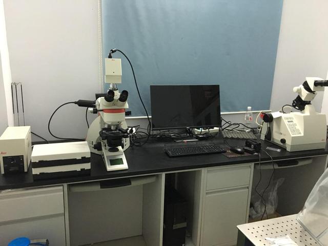 用偏光显微镜鉴定涂料及其原材料中的石棉