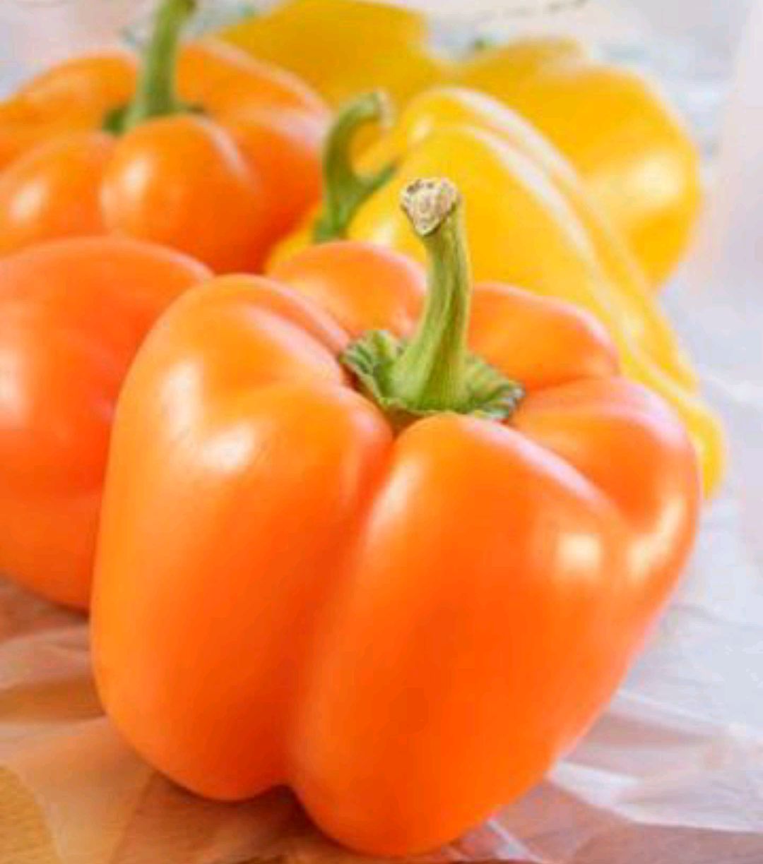 反季节种植彩椒,颜色鲜艳结果多,要注意些什么呢?