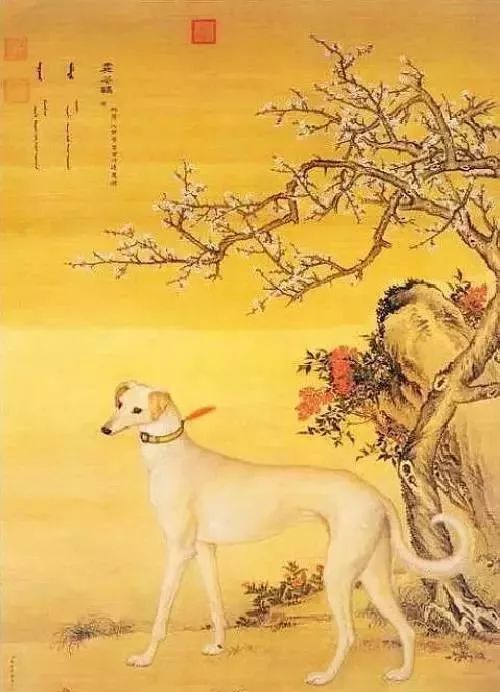 百闻不如一见:郎世宁最出名的《十犬图》