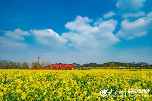 青岛西海岸生态观光园图片