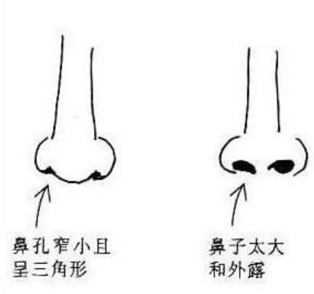 露鼻孔就一定漏财吗图片