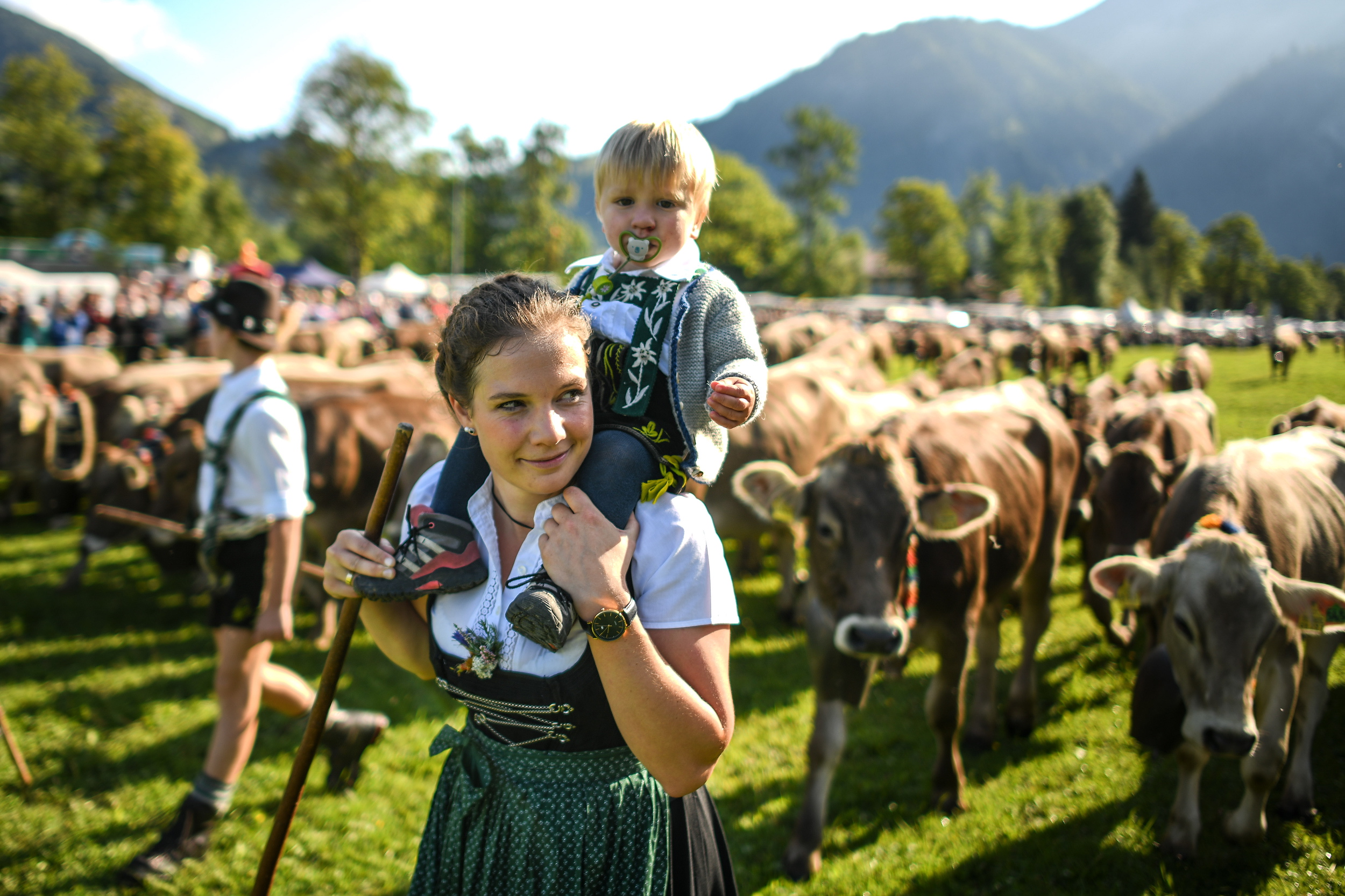 德国:巴伐利亚牧民的秋季转场(8)