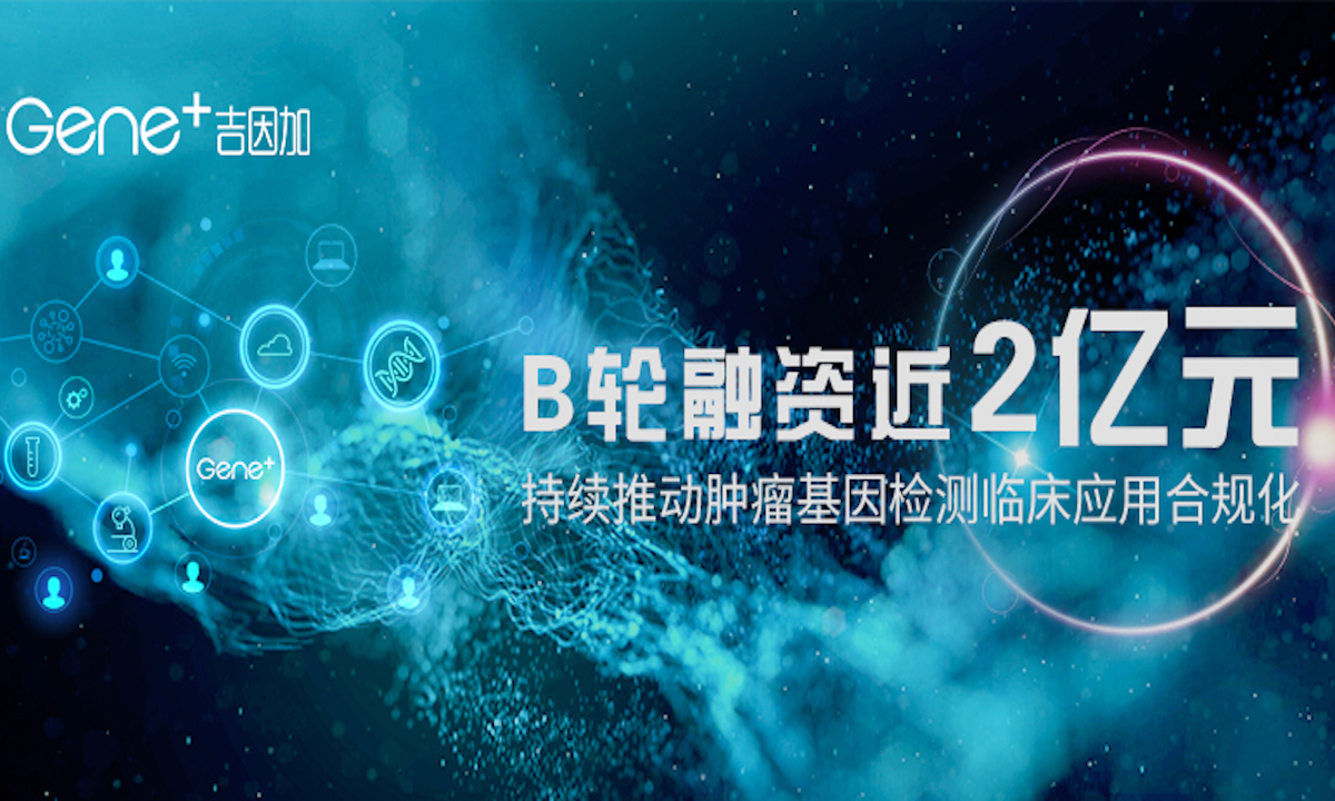 专注肿瘤精准医疗,吉因加完成近2亿元b轮融资,基石资本领投