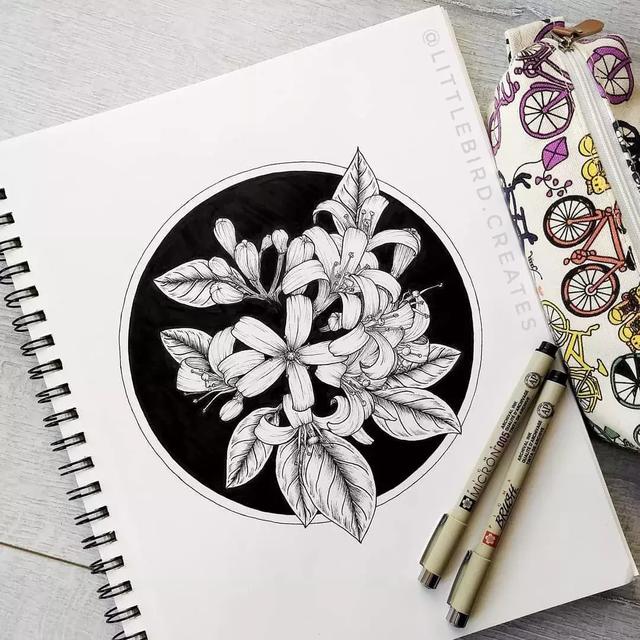 每天坚持学一幅手绘线描,几个月后的你也能成为大神