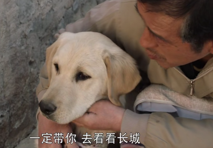 《忠爱无言》老于一生中最幸运的事,就是遇见他的爱犬"二货"