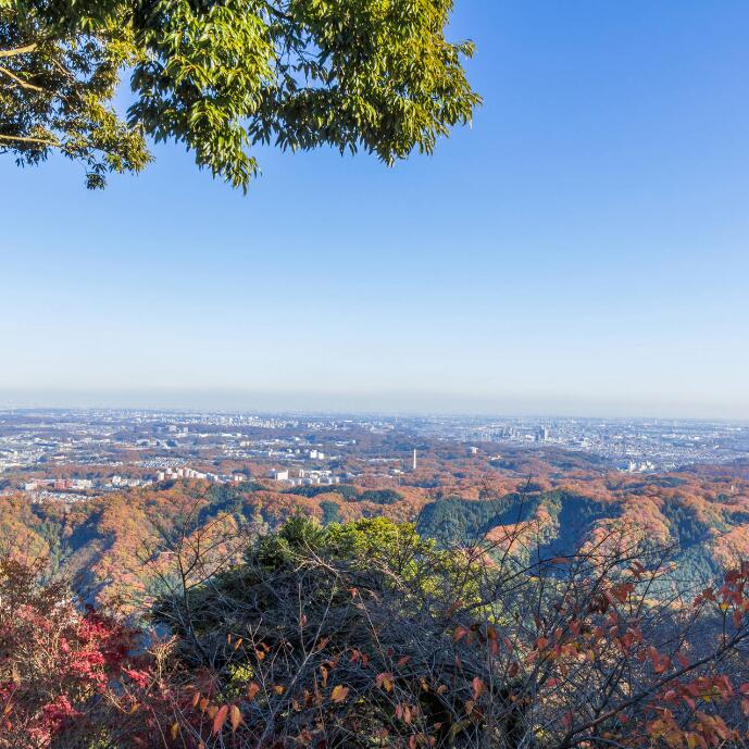 高雄山 距离新宿约一小时,适合健行.