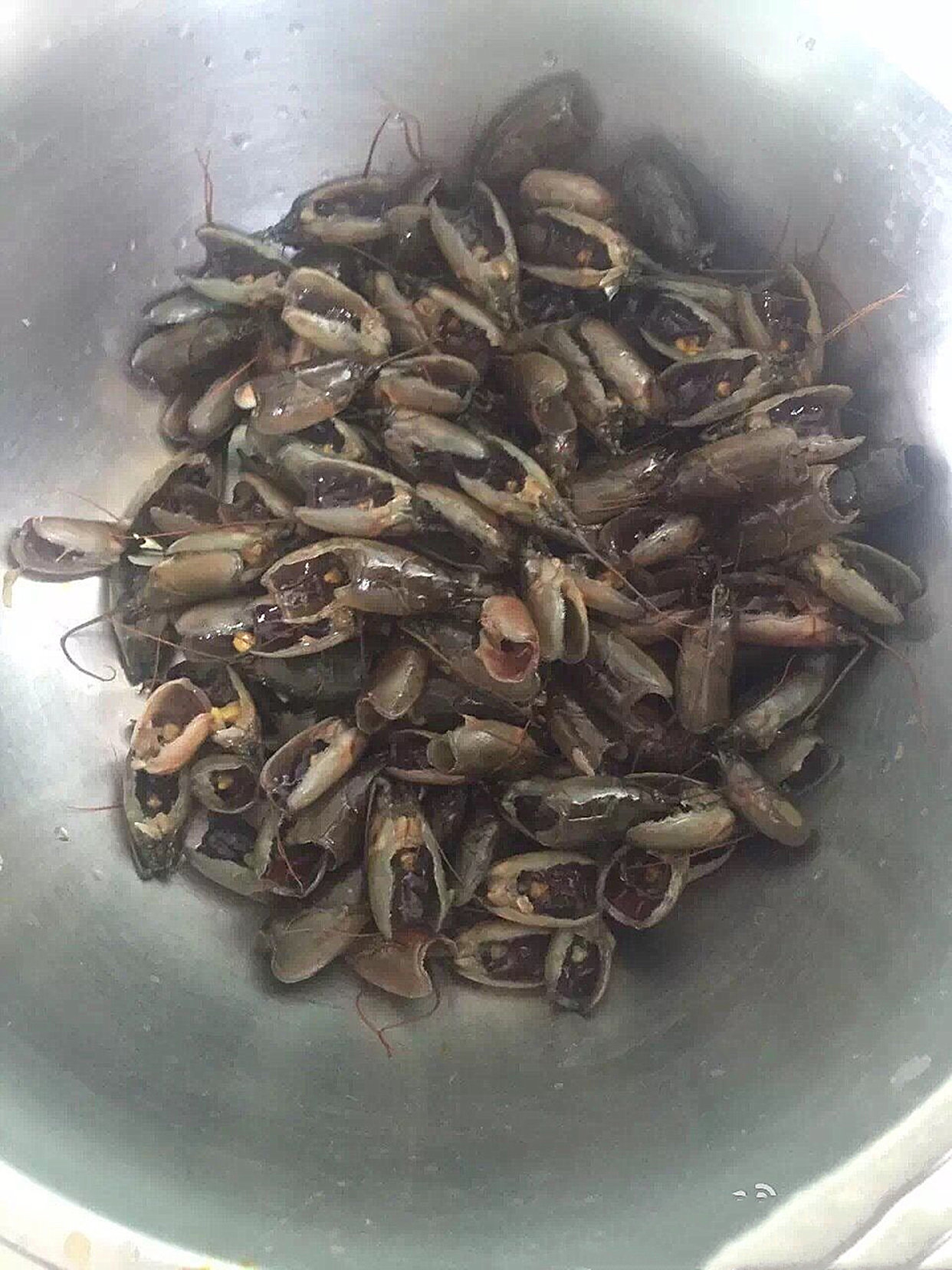 在东北,有一道用蝲蛄做的特色菜——蝲蛄豆腐!