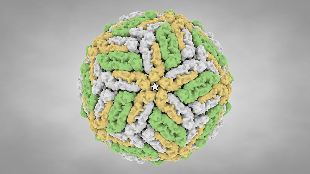 一组病毒的冷知识及十张放大一千四百倍的病毒照片