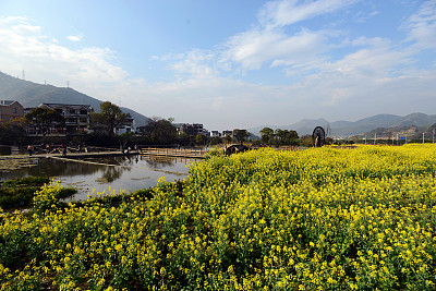 浙江舟山:干施岙阳光无限好,美景如画