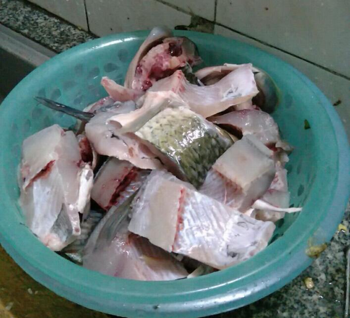 冬季用野战蓝鲫 九一八 赤尾青,到底每种饵料配比多少钓鲫鱼好?