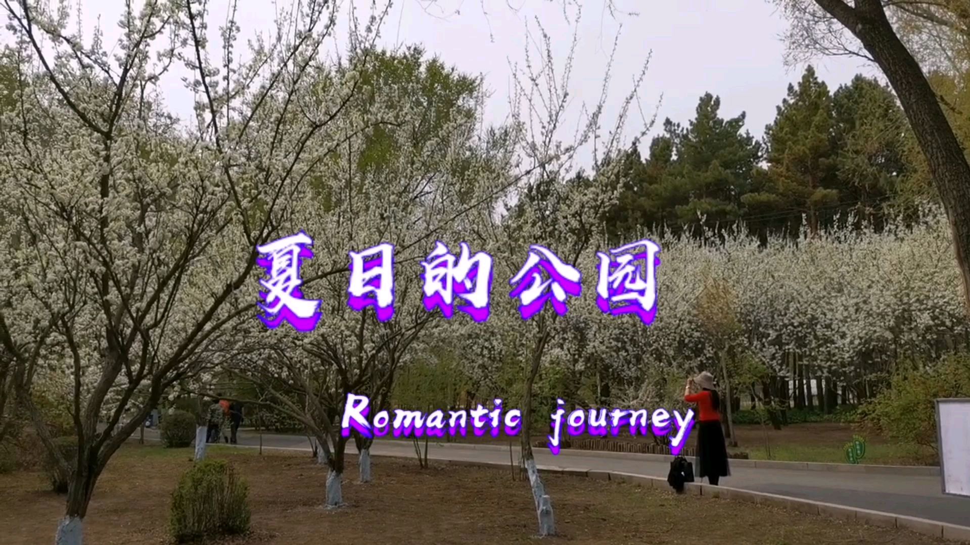 [图]夏日的公园 Romantic journey