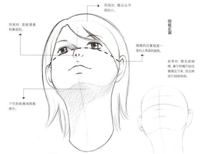 繪畫漫畫角色基礎教程,多角度面部的畫法