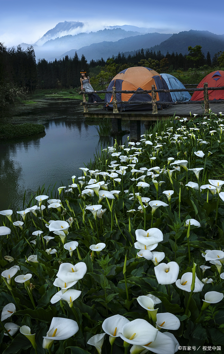 晋·谢灵运的《七里濑》压的韵怪怪的,给人不一样的感觉