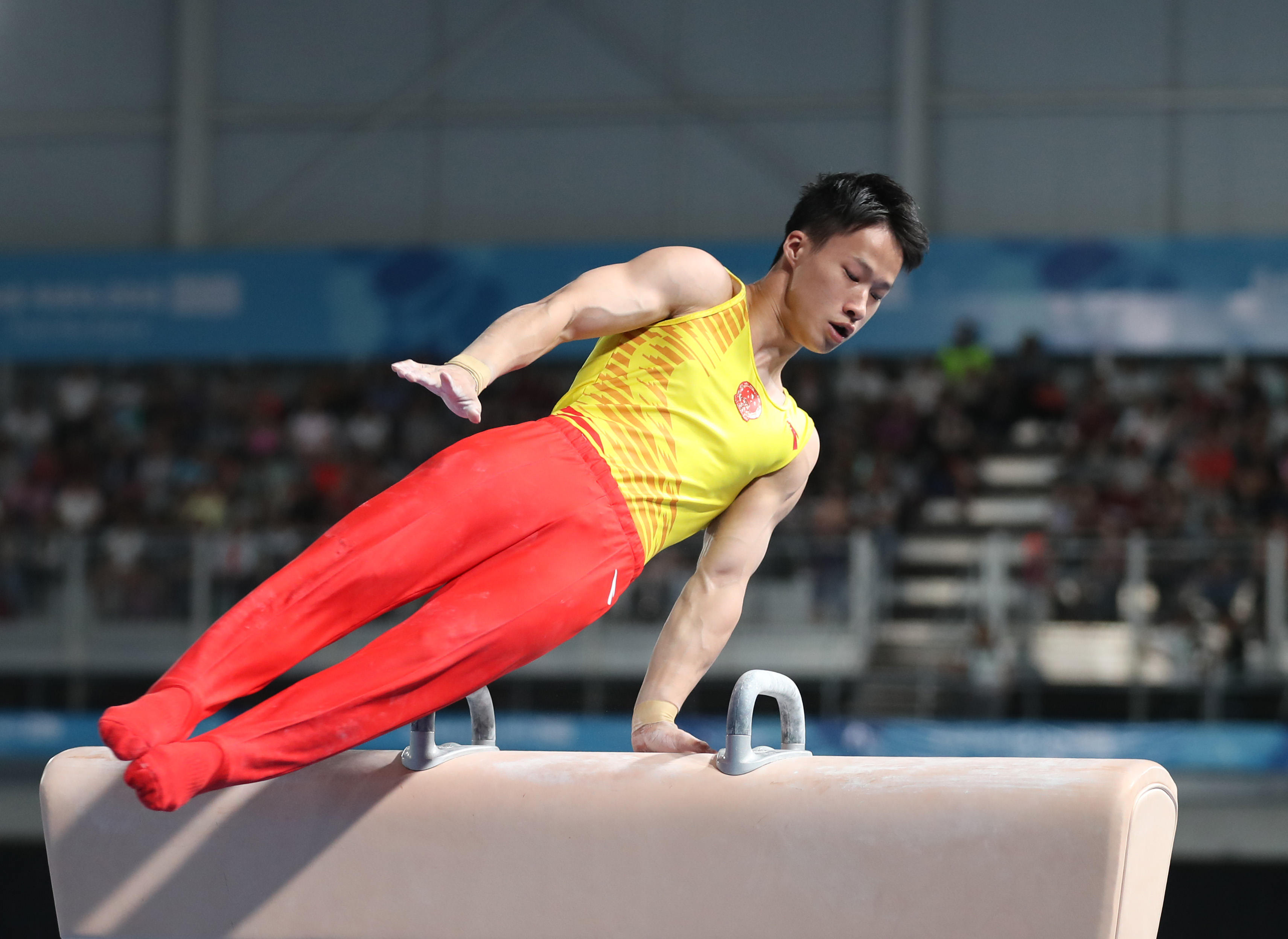 体操——尹德行获得鞍马冠军
