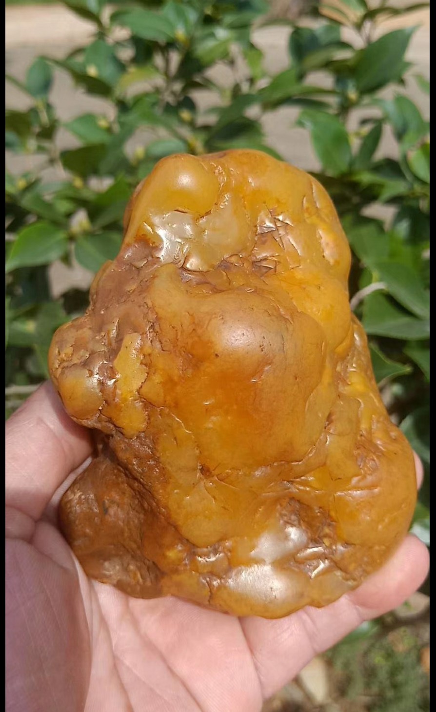黄蜡石和水冲金纹石,河里捡的