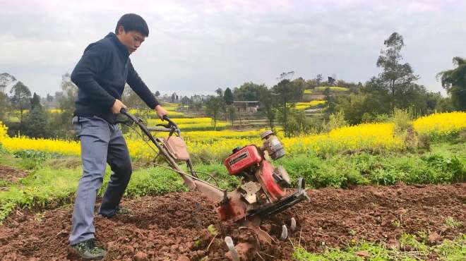 翠花和大根 好看视频