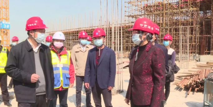 洪再林来我县开展委员进机关进企业进项目调研视察工作