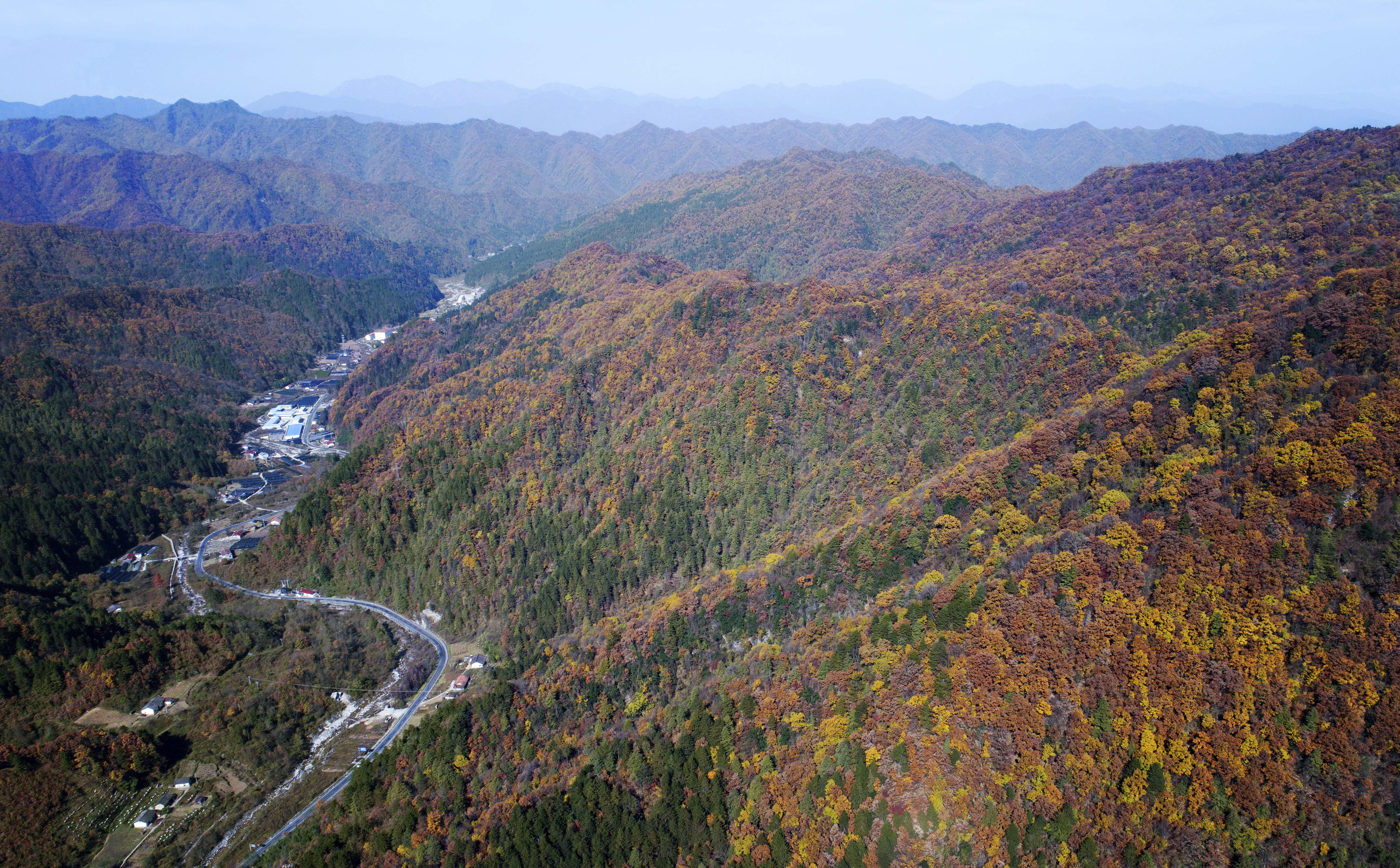 这是10月26日无人机拍摄的秦岭秋景.