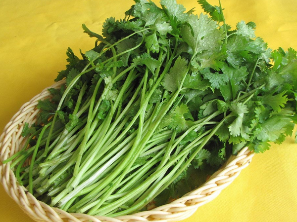 这5种中国最"难吃"的蔬菜,很多人受不了,网友:怕了怕了