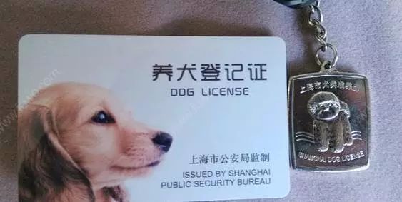 不到4000块,就能给烈性犬在上海办"狗证",怎么管?市公安局说