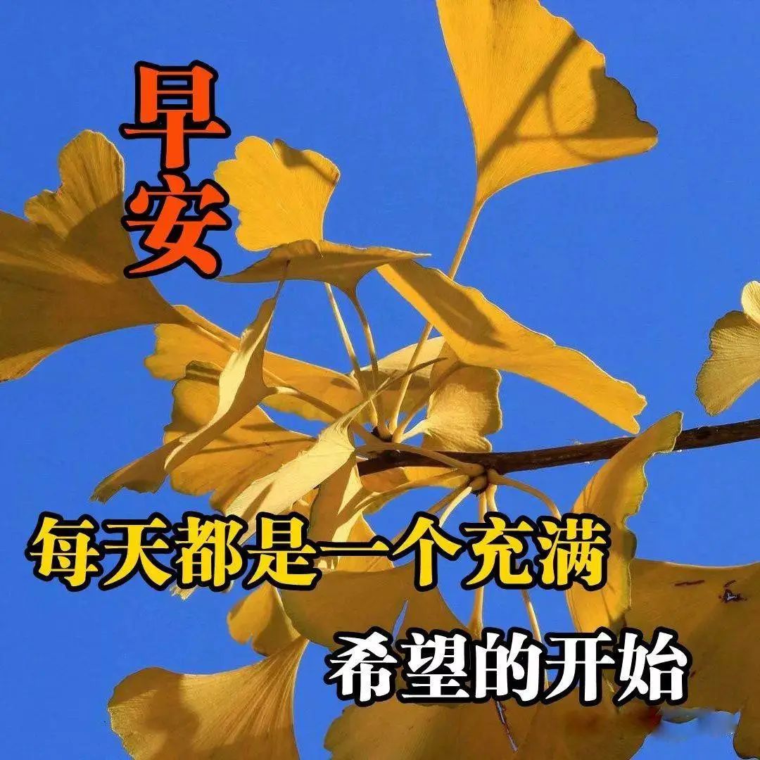 假期开始了心情图片