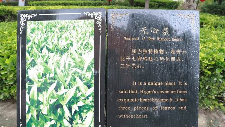 圣人之墓——比干庙(下)