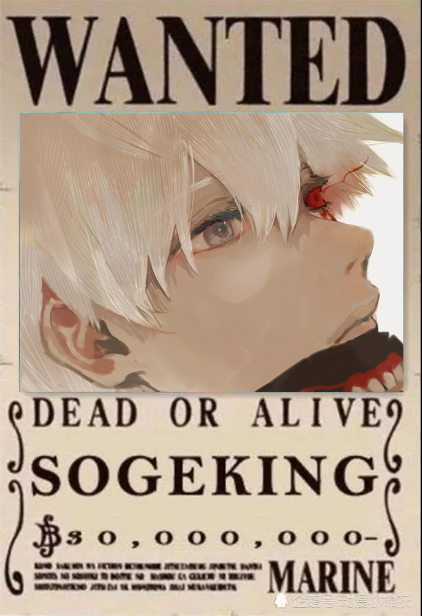 当《东京re》遇到《海贼王》悬赏令,金木30亿,而她才50贝利!