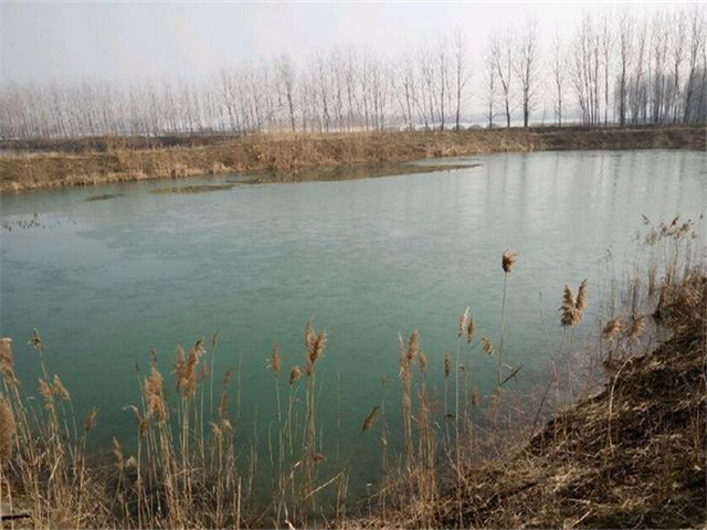 如取土坑,废窑坑,村镇洗用塘,旧城壕,旧河道,农