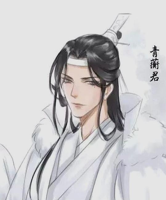 《魔道祖师》中年美大叔集合,魏长泽冷酷型,蓝启仁c位出道!