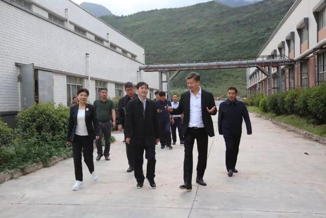 坐拥195亿,12年连续赚钱,汕头首富联美苏素玉家族有什么秘诀?