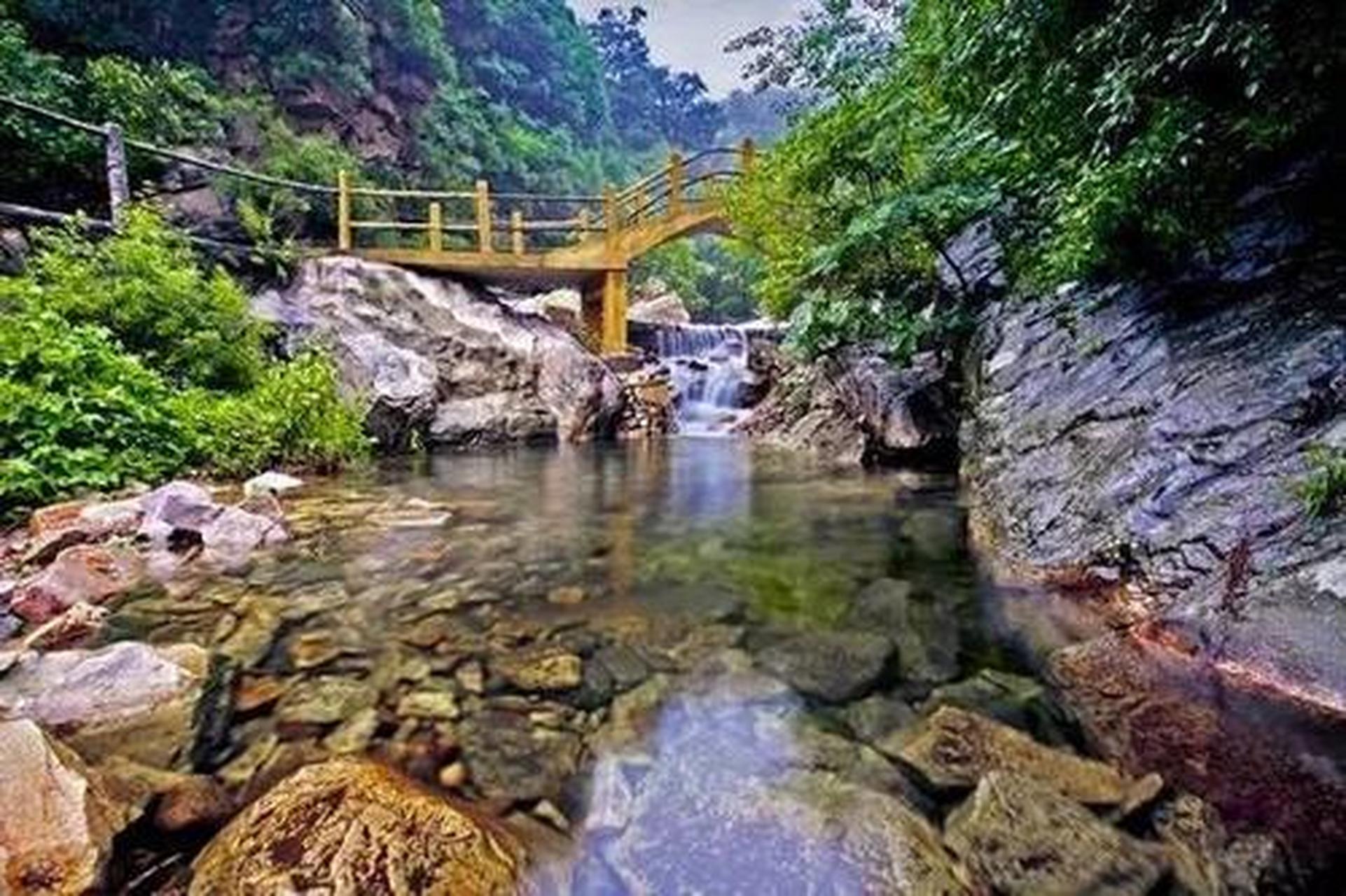 九龙省级森林公园图片