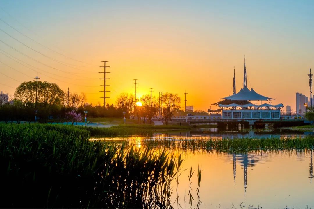 保定北湖公园,正宜临水观鸟,得享一刻清闲