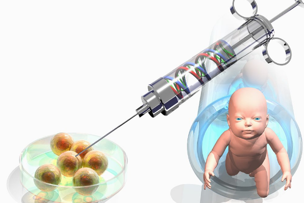 红通通!试管婴儿的寿命长吗"春暖花开"-第1张图片-美途网