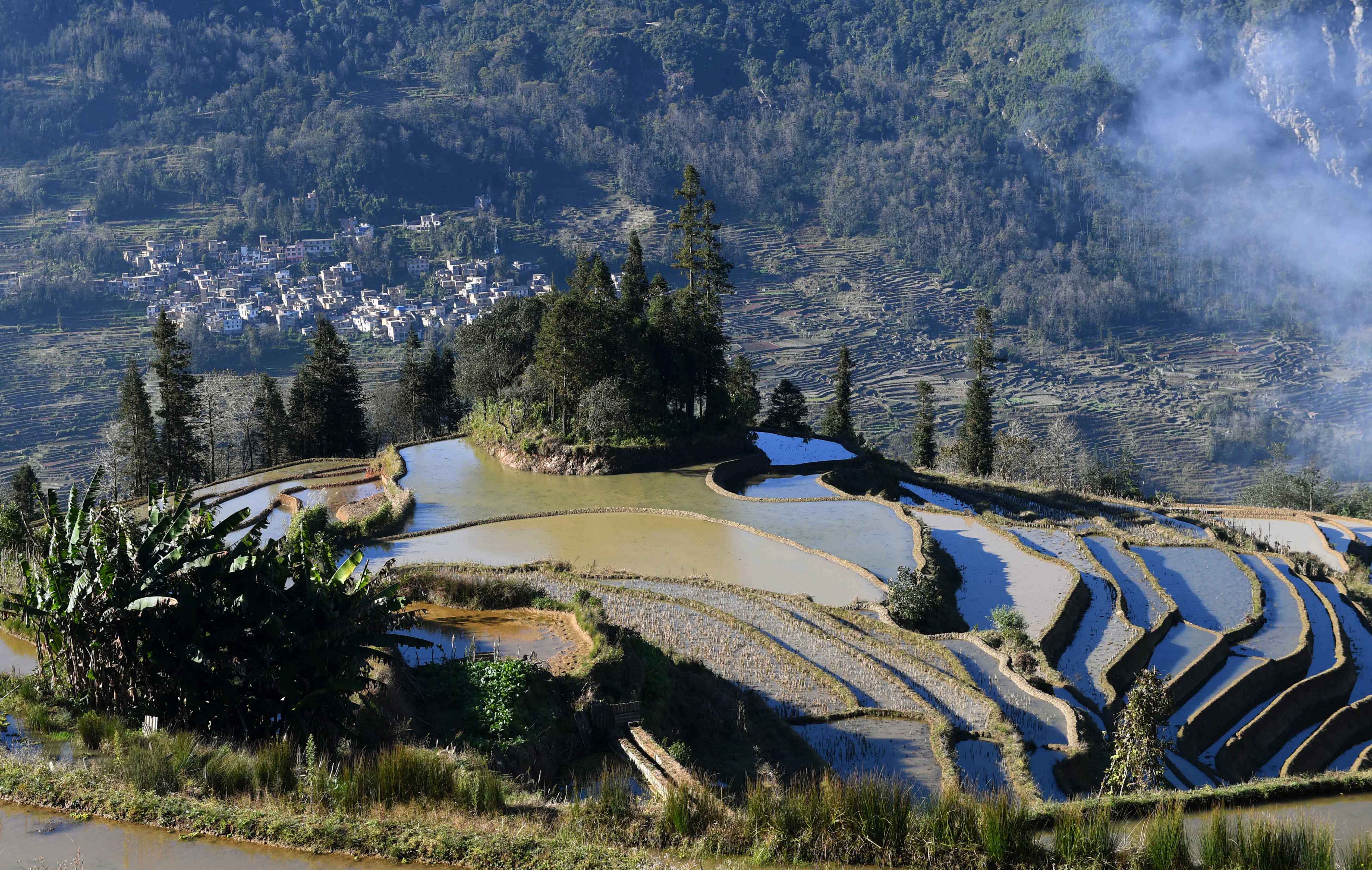 冬日云南哈尼梯田美景如画