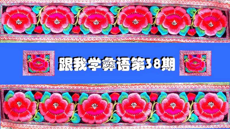 跟我学彝语38，彝语文学习,教育,学校教育,好看视频