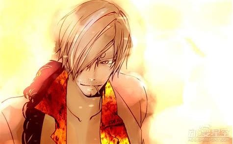 草帽海贼团三主力之一,黄发,有着卷曲眉毛,只露出右边眼睛,常常吸烟的